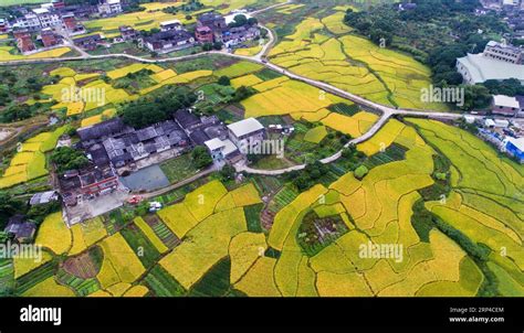 永春岵山鎮風景如何 且談岵山鎮之古建築與生態之美